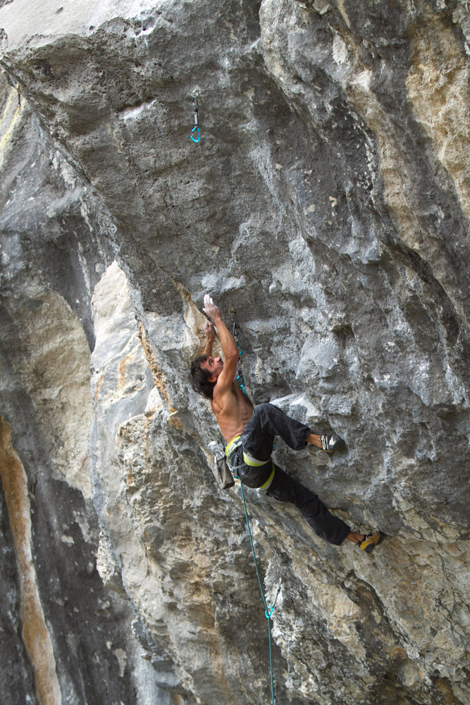 Une arquee pour un criquet (13)